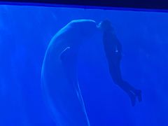 -多彩贵州城极地海洋世界