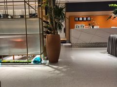 -红鼎豆捞·非遗鲍皇汤火锅(宝丰路店)