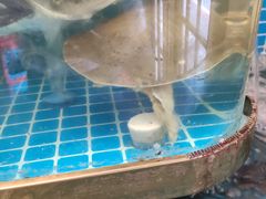 -阿婆农家菜(车墩店)