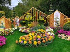 -上海共青森林公园