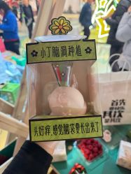 -TOYSRUS玩具反斗城(重庆来福士店)