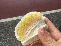 -艾溪湖湿地公园