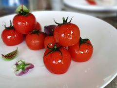 -三利音·浦之舟(滨江大道店)