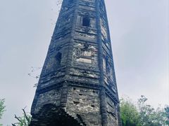 -上海佘山国家森林公园天马山园