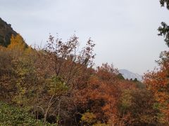 -北京鹫峰国家森林公园