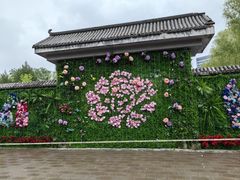 -莲花池公园