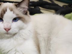 -中田健身工作室(中针商务店)