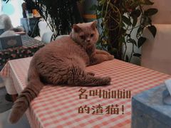 -小时光咖啡馆(北锣鼓巷店)