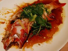 清蒸鱼-陶陶居海鲜酒家(新马路店)