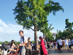 -大雁塔北广场音乐喷泉