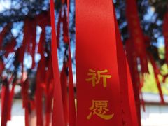 -函谷关历史文化旅游区