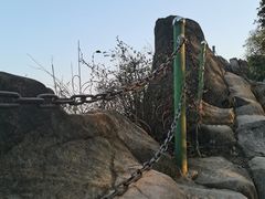 -南山植物园