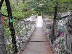 -青峰峡国家森林公园