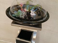 -佰园全日西餐厅-厦门佰翔软件园酒店