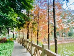 -广州市流溪河国家森林公园