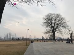 -汉长安城未央宫国家考古遗址公园