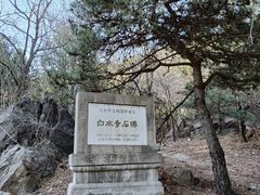 -白水寺森林公园