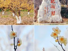 -上海海湾国家森林公园