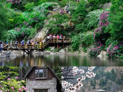 -九如山休闲旅游度假区