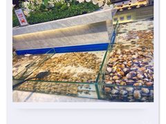-川骄海鲜自助(河东店)