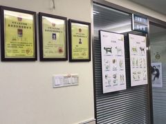 -动物缘宠物医院·骨科·猫科(西二环店)
