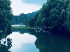窗外风景-天源渔港农庄