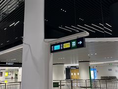 -望京西(地铁站)