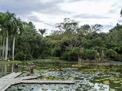 -中国科学院西双版纳热带植物园