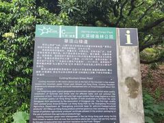 -大屏嶂森林公园