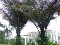 -广西壮族自治区药用植物园