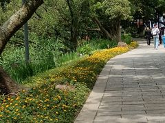 -江心屿景区