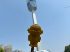 -陕西自然博物馆