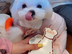 -Grande A'moo(上海万象城店)