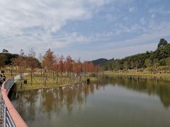 -东莞植物园
