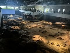 -自贡恐龙博物馆