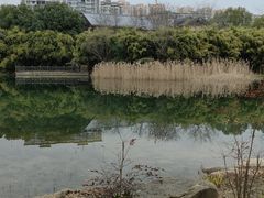 -洋湖国家湿地公园