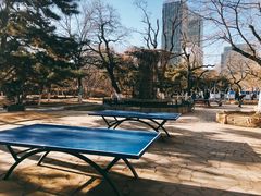 健身器材-沈阳中山公园