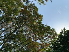 -韶山毛泽东同志故居