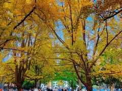 -四川大学(华西校区)