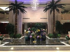-常州环球恐龙城维景国际大酒店