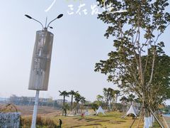 -空港花田景区