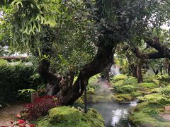 -Chom Cafe and Restaurant