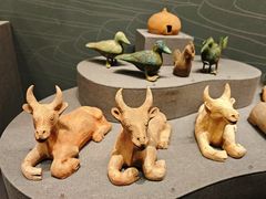 -广西壮族自治区博物馆