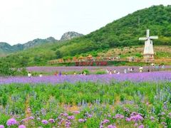 -洪湖湿地生态园
