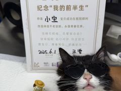 -芭比堂动物医院·心脏专科·夜诊·吉雅分院