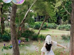 -人民公园(罗湖区)