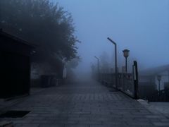 -长沙黑麋峰国家森林公园