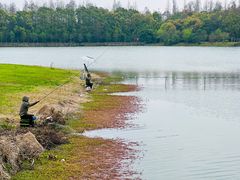 -上海海湾国家森林公园