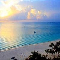 -薇兰专业脱毛连锁机构