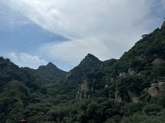 -大岭沟猕猴桃谷风景区